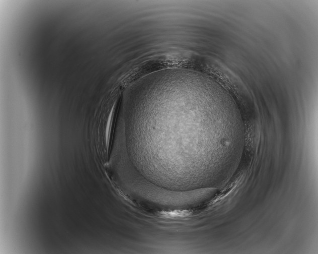 X0000097870137200803211322