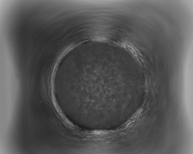 X0000097870145200803211321