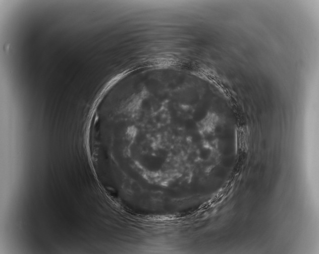 X0000097870147200803211321