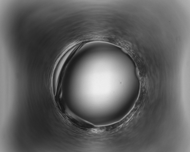X0000097870148200803211321