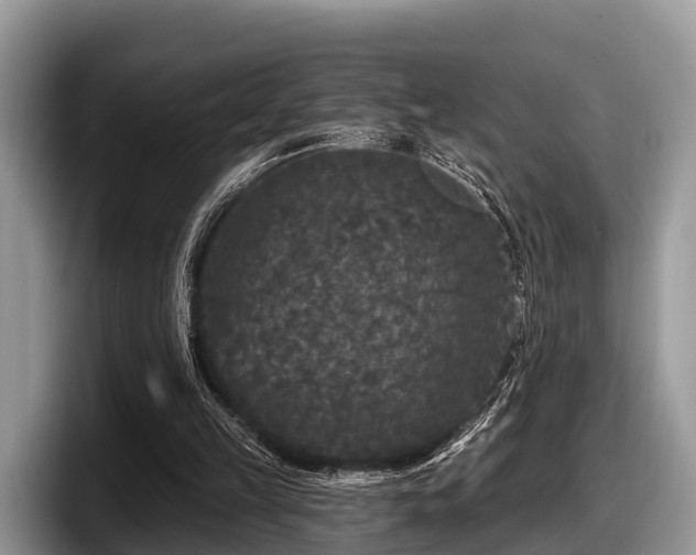 X0000097870149200803211321