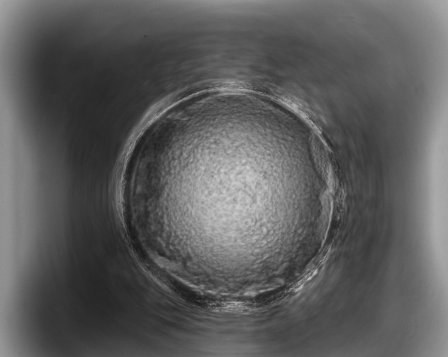 X0000097870151200803211321
