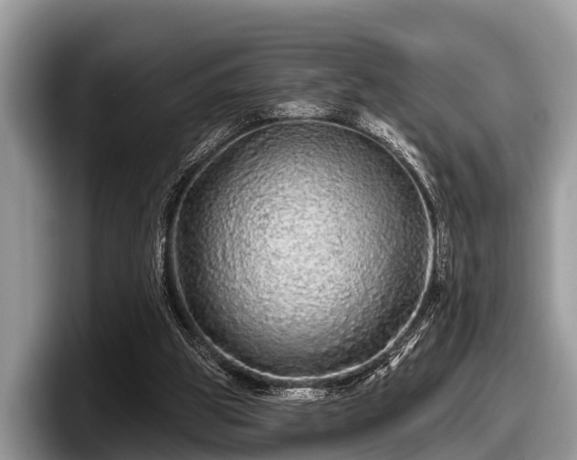 X0000097870153200803211321