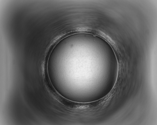 X0000097870155200803211321