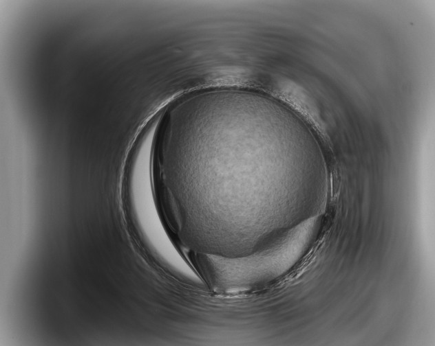 X0000097870156200803211321