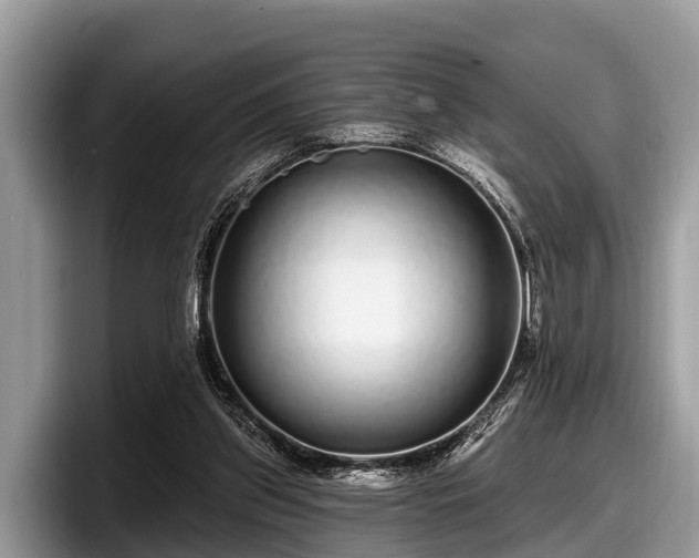 X0000097870157200803211321