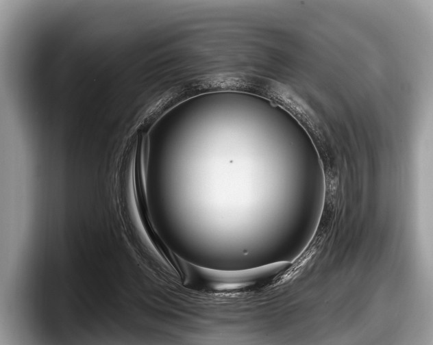 X0000097870158200803211321