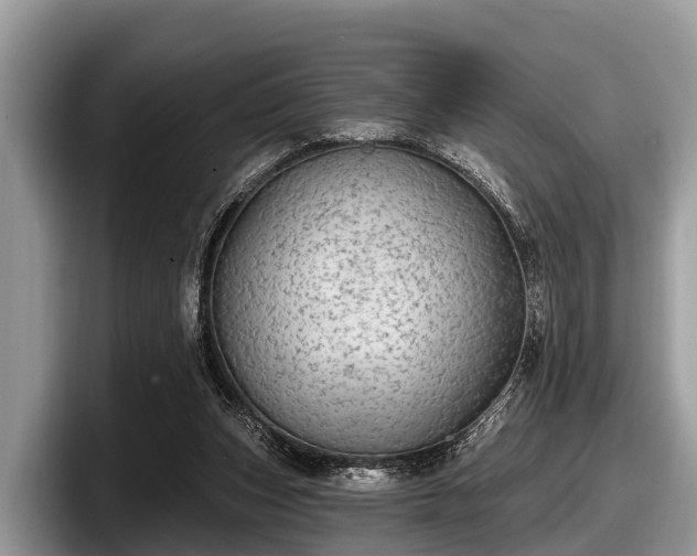 X0000097870159200803211321