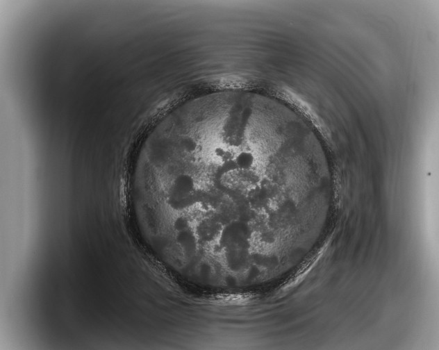 X0000097870161200803211321