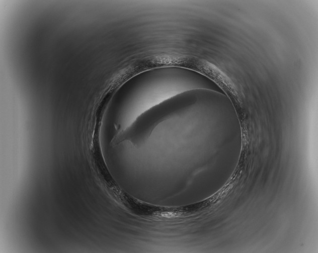 X0000097870163200803211321