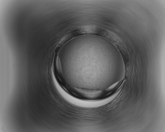 X0000097870168200803211321