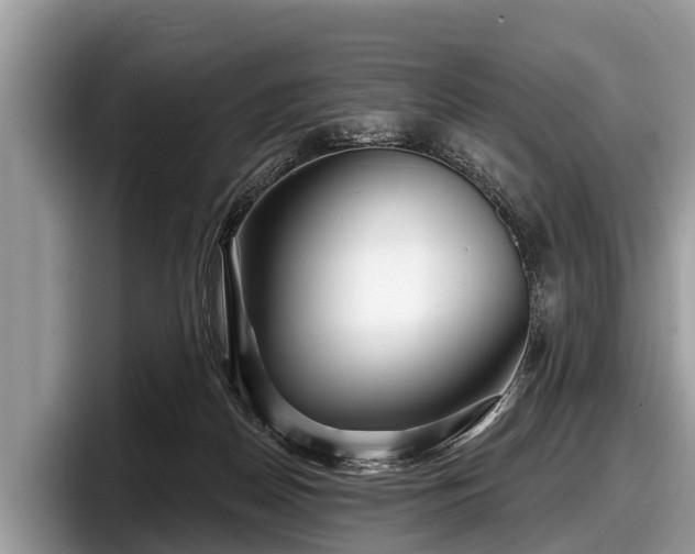 X0000097870170200803211321