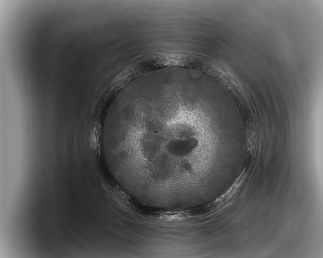 X0000097870175200803211321