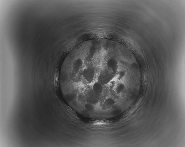 X0000097870177200803211321
