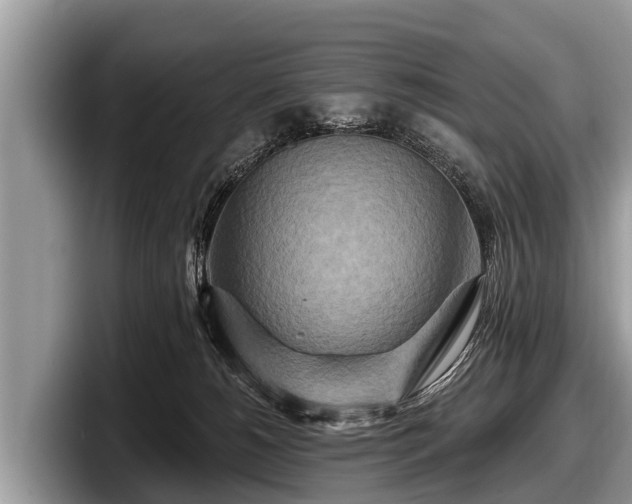 X0000097870180200803211321
