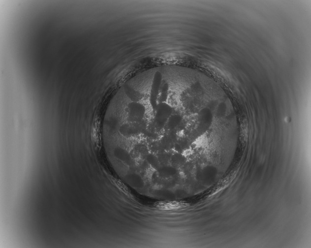 X0000097870181200803211321