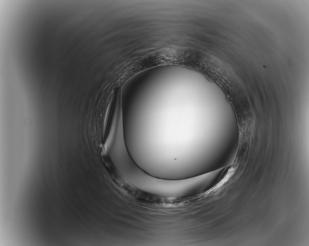 X0000097870186200803211321