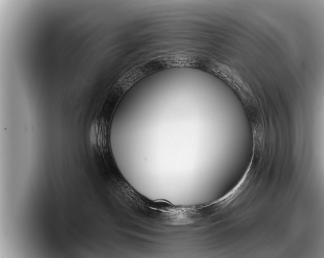X0000097870190200803211321