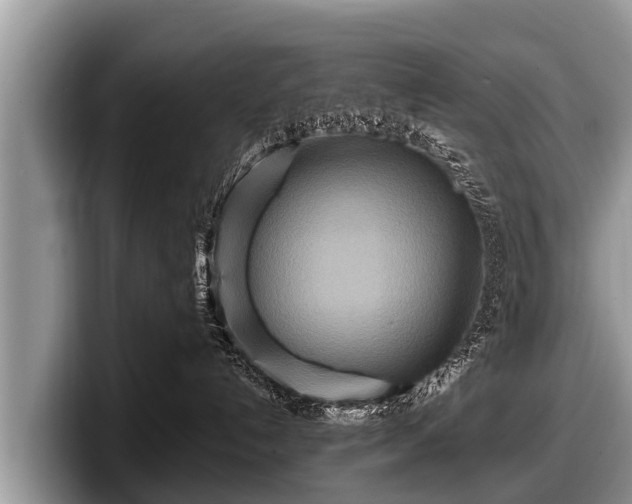 X0000097870192200803211322