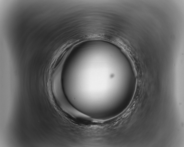 X0000097870193200803211321