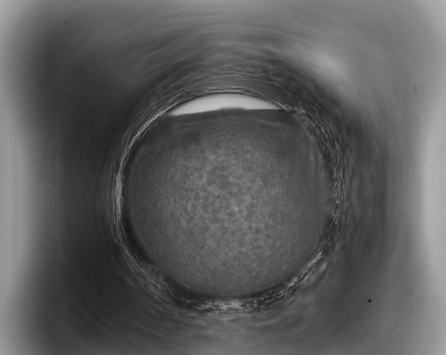 X0000097870194200803211321