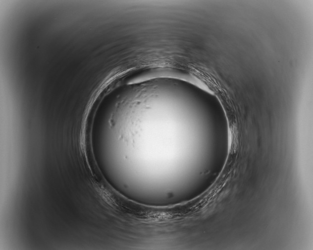 X0000097870195200803211321