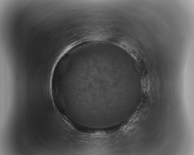 X0000097870196200803211321