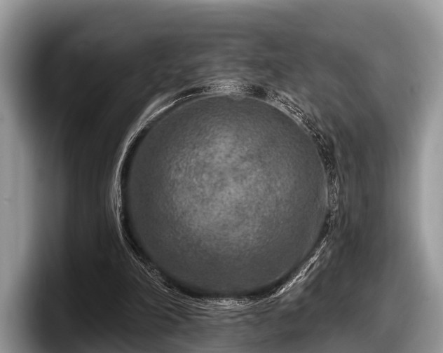 X0000097870198200803211321