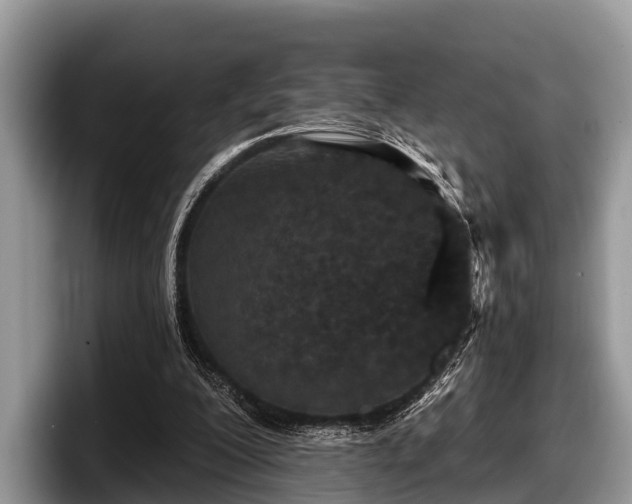 X0000097870200200803211321