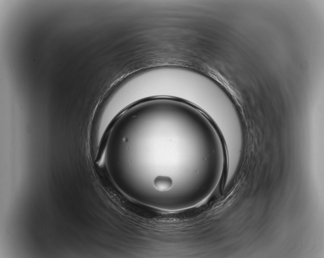 X0000097870203200803211321