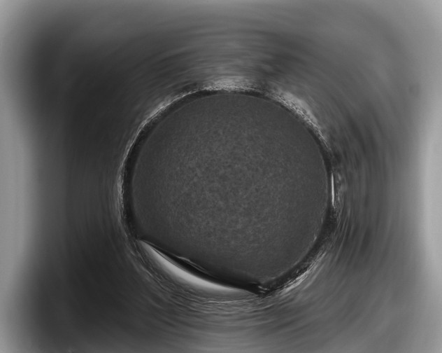 X0000097870204200803211321