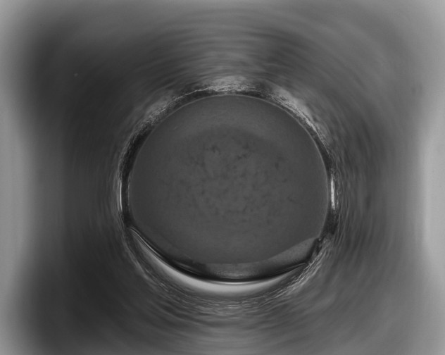 X0000097870205200803211321
