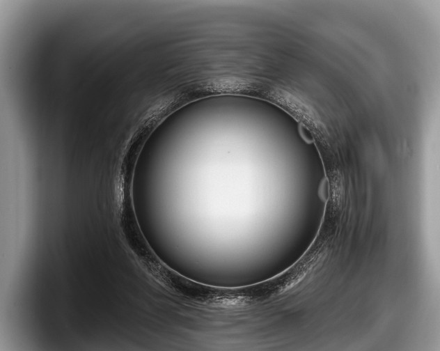 X0000097870206200803211321