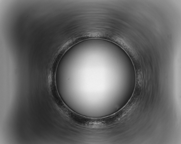 X0000097870208200803211321