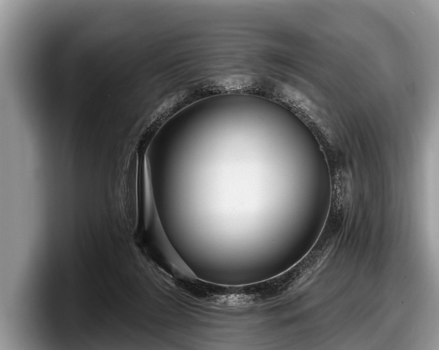 X0000097870212200803211321
