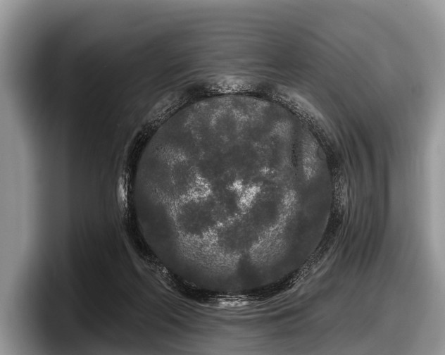 X0000097870214200803211321
