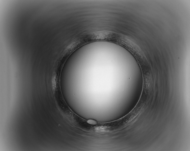 X0000097870216200803211321