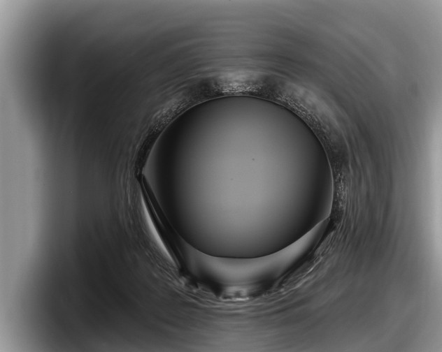X0000097870219200803211321
