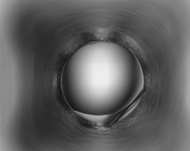 X0000097870221200803211321