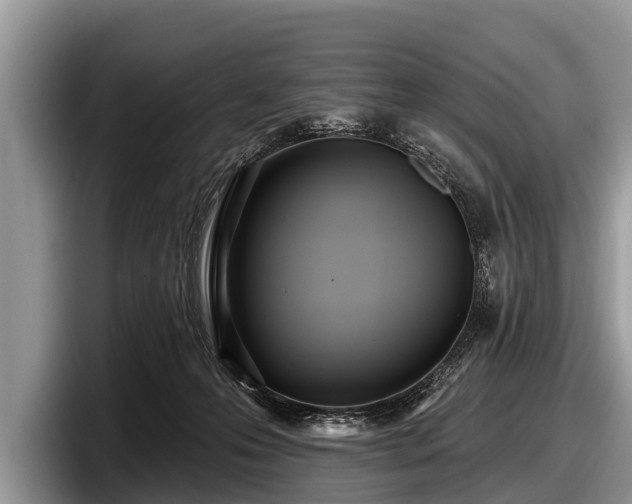 X0000097870223200803211320