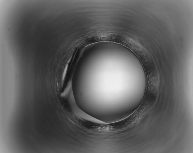 X0000097870225200803211320