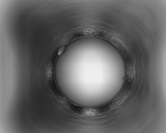 X0000097870226200803211320