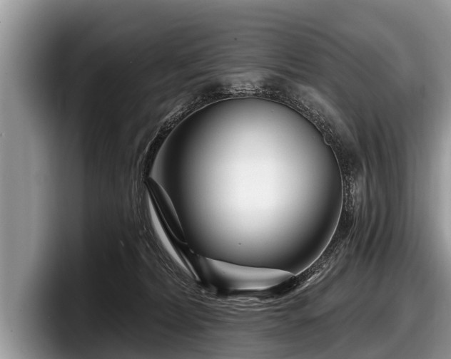 X0000097870228200803211320