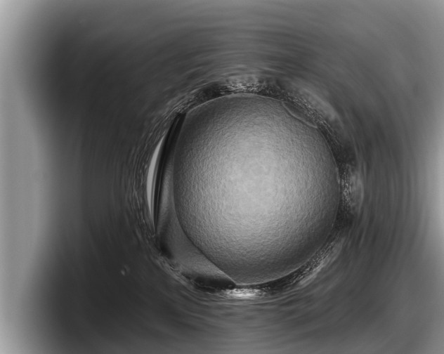 X0000097870233200803211320