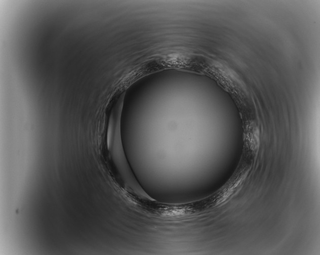 X0000097870235200803211320