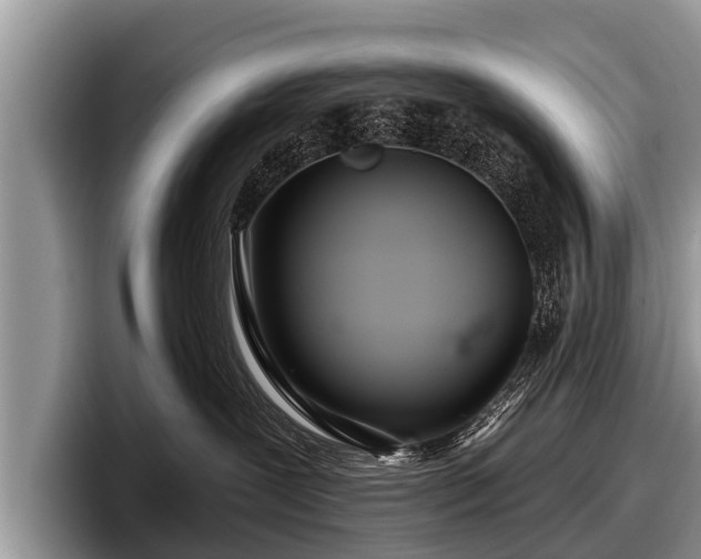 X0000097870239200803211320