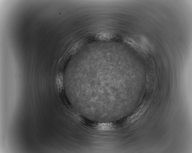 X0000097870240200803211320