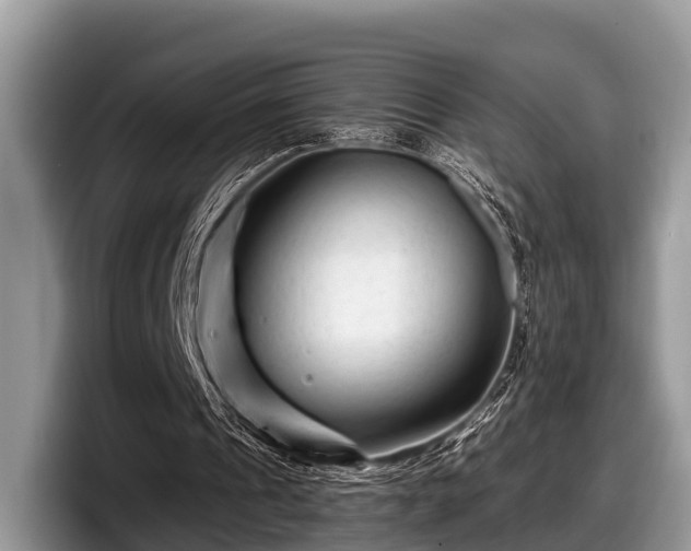 X0000097870241200803211320