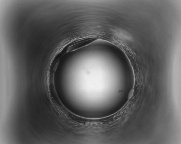X0000097870242200803211320