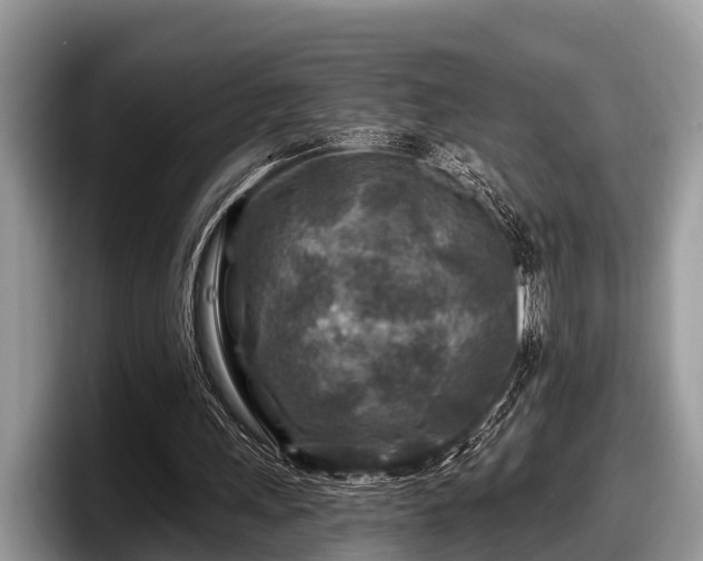 X0000097870243200803211320